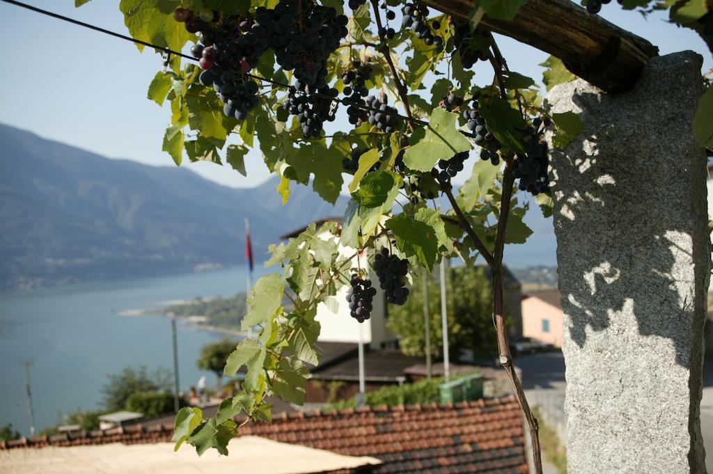 Garten Hotel Dellavalle Brione sopra Minusio Εξωτερικό φωτογραφία